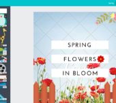 canva generic screen